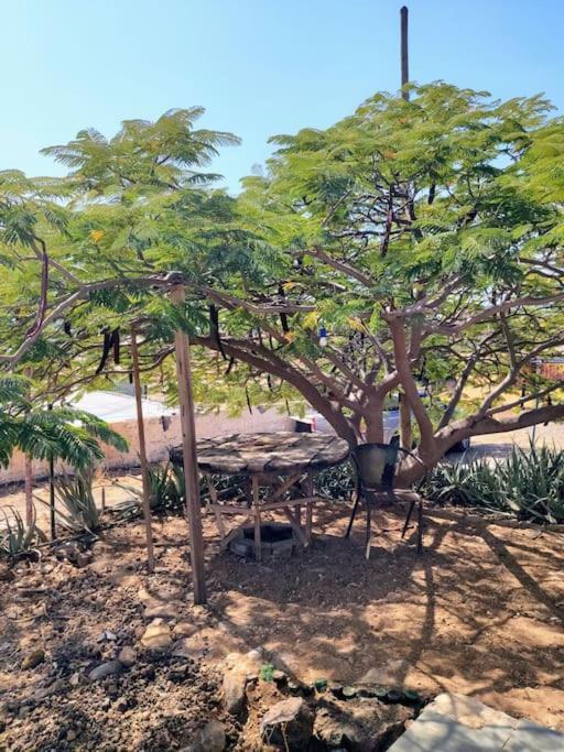 Casa Aloe Vera - Private House W/ Free Breakfast Cidade Velha Esterno foto